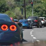 DSC_0183_01 (May 16, 2020)